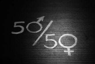 Gender equity image 50-50.