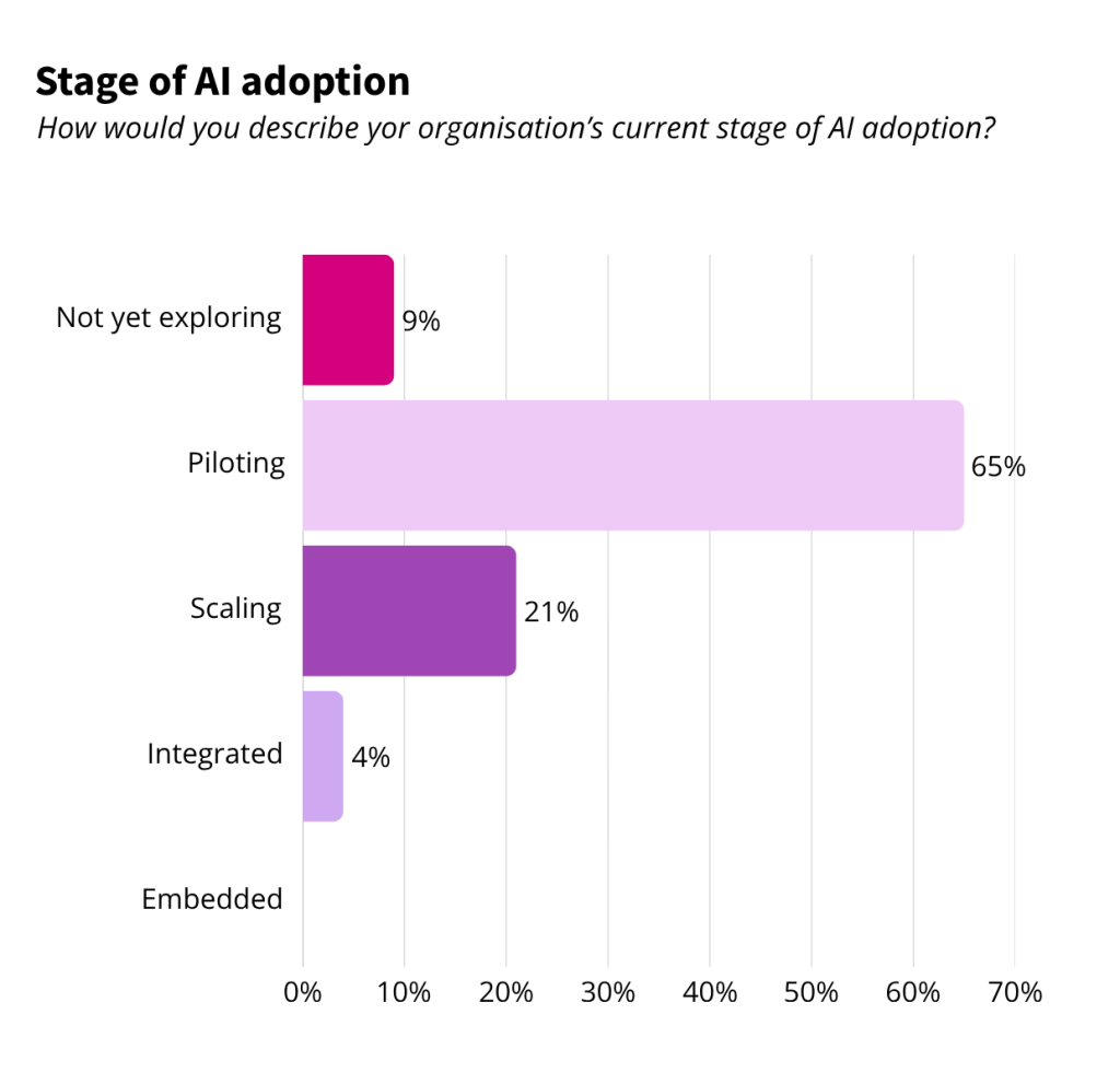 Stage of AI adoption
