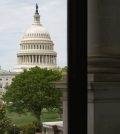 The US Capitol in Washington DC. Photo: Benjamin Ashton (Unsplash)