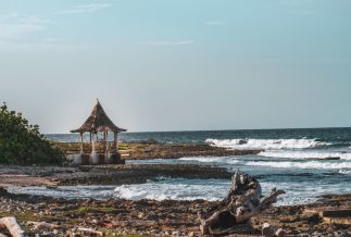 Jamaica's 2050 Long-Term Emission Reduction and Climate-Resilient Strategy
