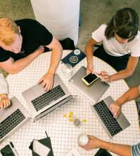 government digital capability