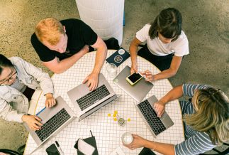 government digital capability
