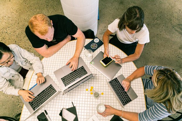 government digital capability