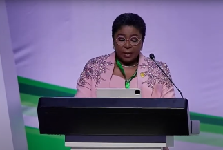 Didi Esther Walson-Jack speaking at International Civil Service Conference in Abuja