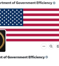 A screengrab of the Department of Government Efficiency's page on X/Twitter